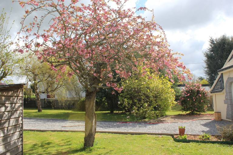 Maison de vacances Malestroit