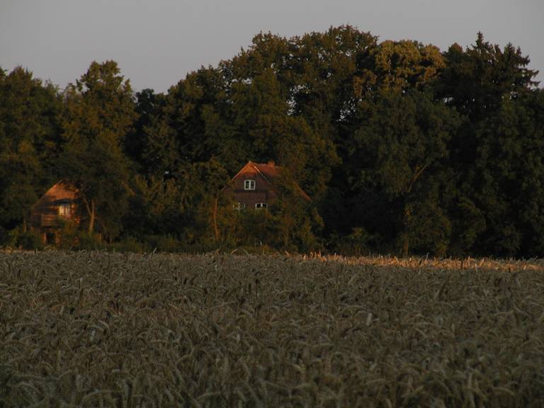 foto23