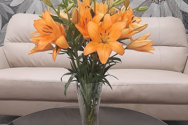 foto7