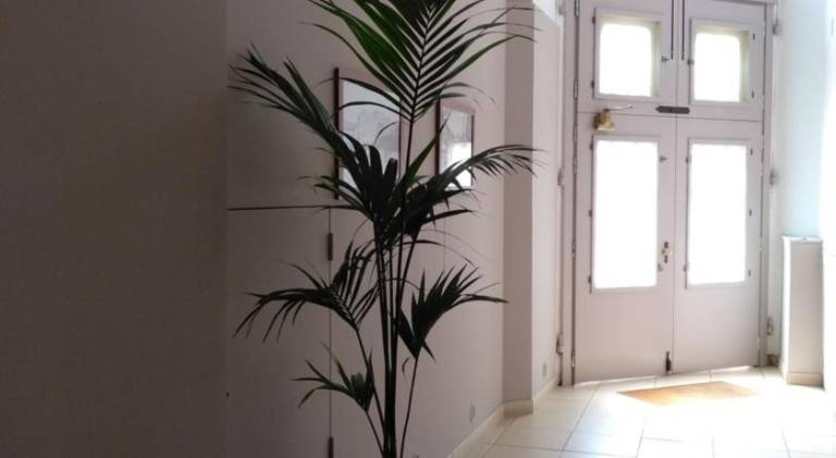 Fully equipped apartment | Good for workation | Pets are welcome — photo 4