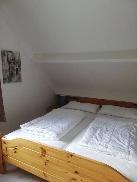 foto19