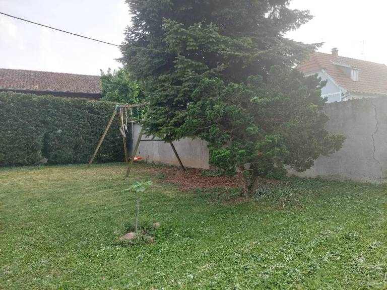 foto29