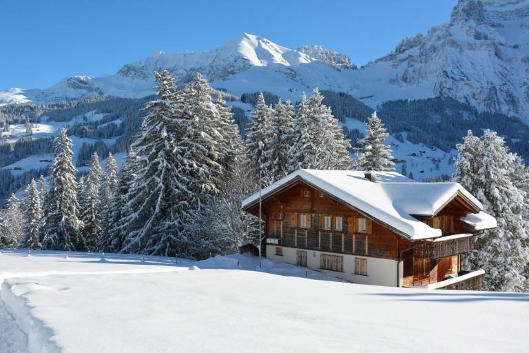 Ferienwohnung Adelboden