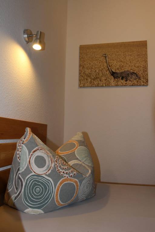 foto12