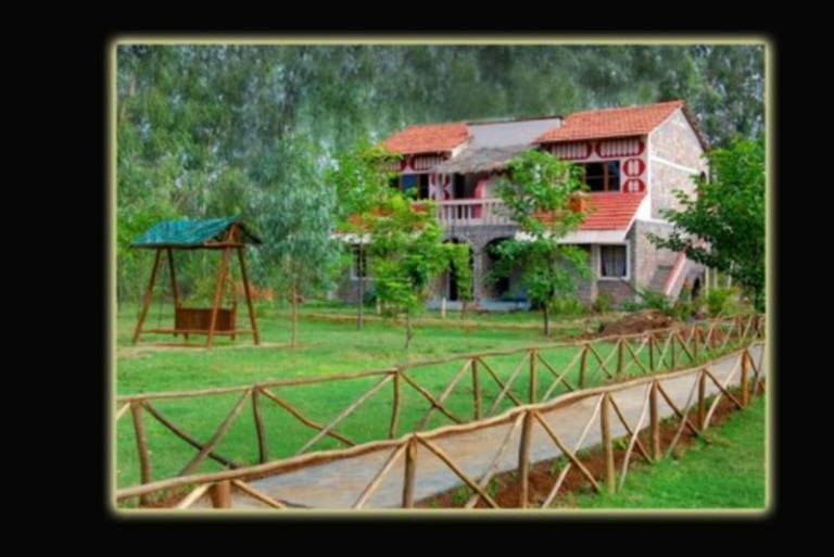 Mogli Jungle Resorts — photo 5