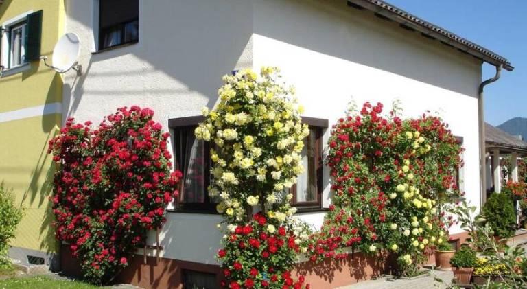 Dom Klagenfurt am Wörthersee