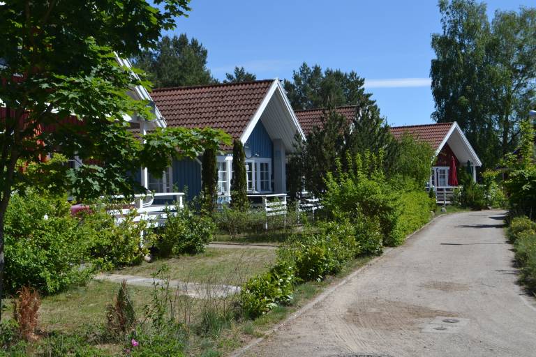 foto2