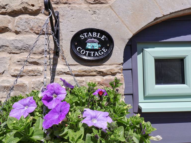 Pleasant cottage with yard | Pet-friendly — photo 2
