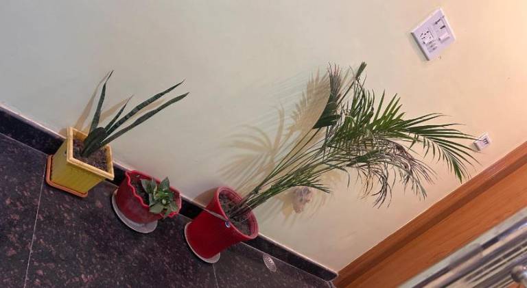 Trilok Residency — photo 5