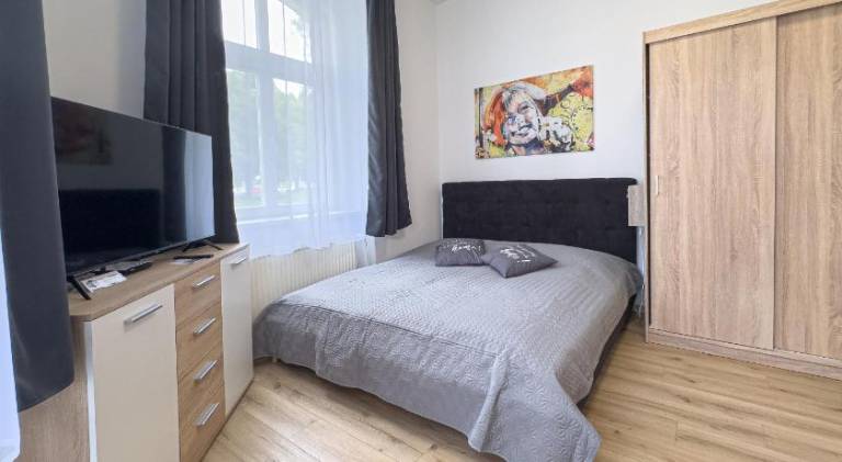 Apartment | Dogs allowed in Karlovy Vary