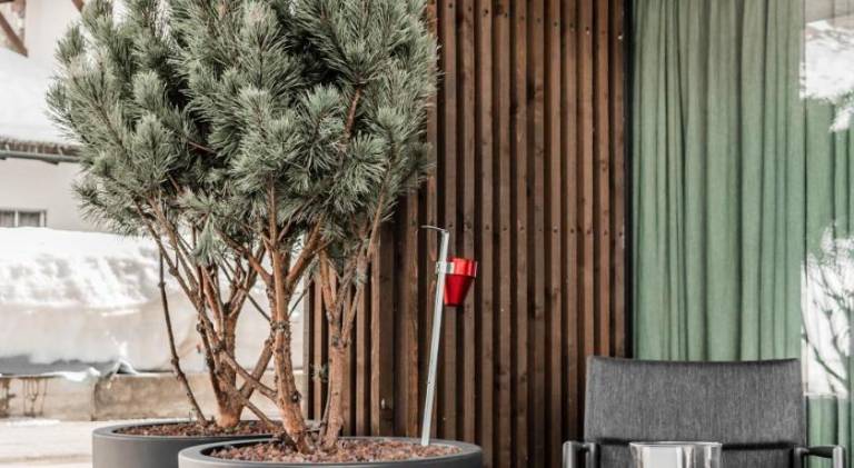 Fully equipped beautiful serviced apartment with sauna, terrace & garden | Next to the ski | Pets are welcome — photo 5