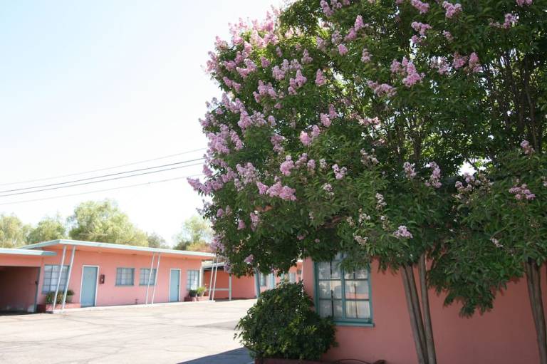 foto6