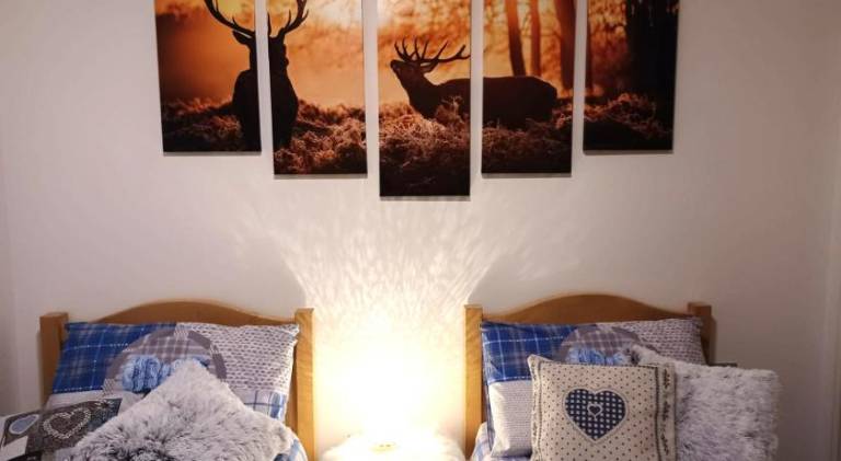 Nice rental apartment | Dogs allowed in Predazzo