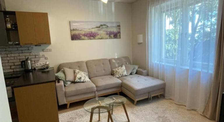 Apartment | Pets are welcome — photo 2