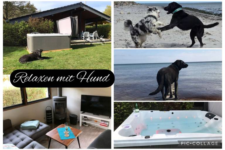 50 m&sup2; Ferienhaus