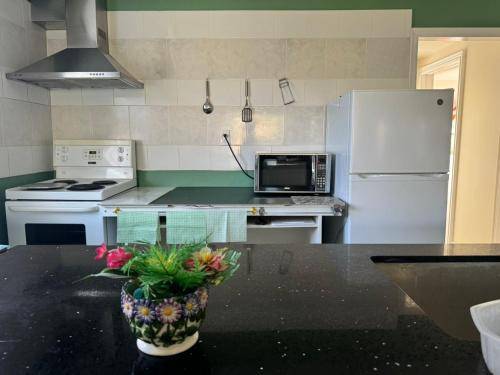 Ensuite Queen Room Sunshine & Convenience near Finch station