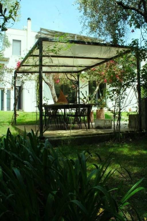 foto15