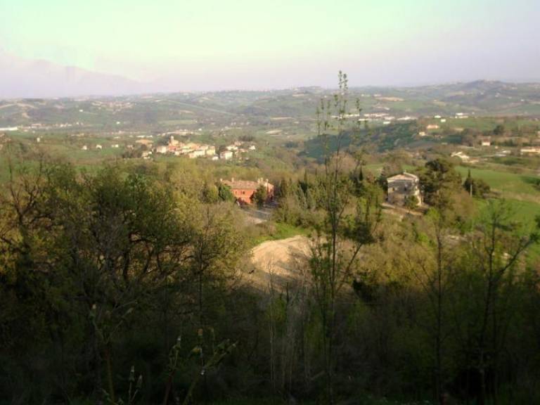 foto8