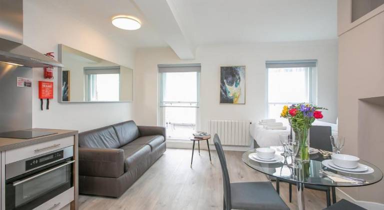 Charming rental apartment | Next to Dublin Castle | Pets allowed in Dublin