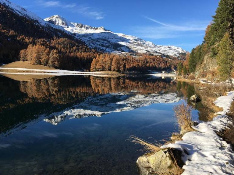 foto41