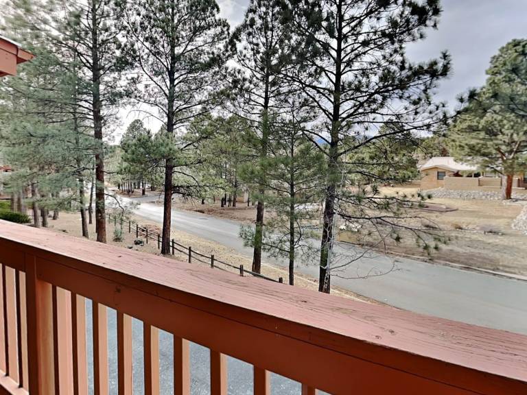 Pinon Park A2 — photo 4