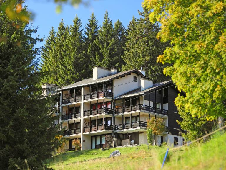 Ferienwohnung in Gryon, Alpe des Chaux f&uuml;r max. 4 Personen