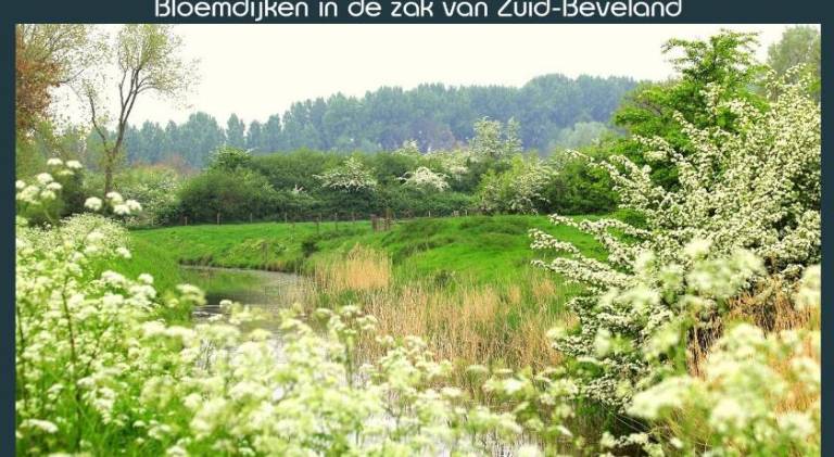 foto38