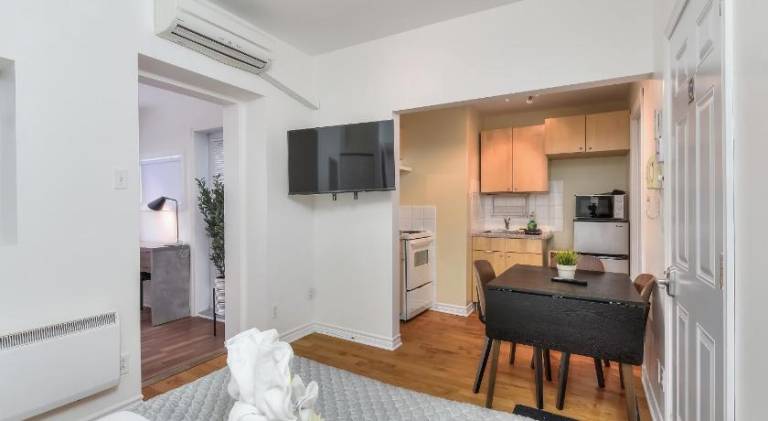Lovely apartment | Near Notre-Dame Basilica | Pets allowed — photo 2