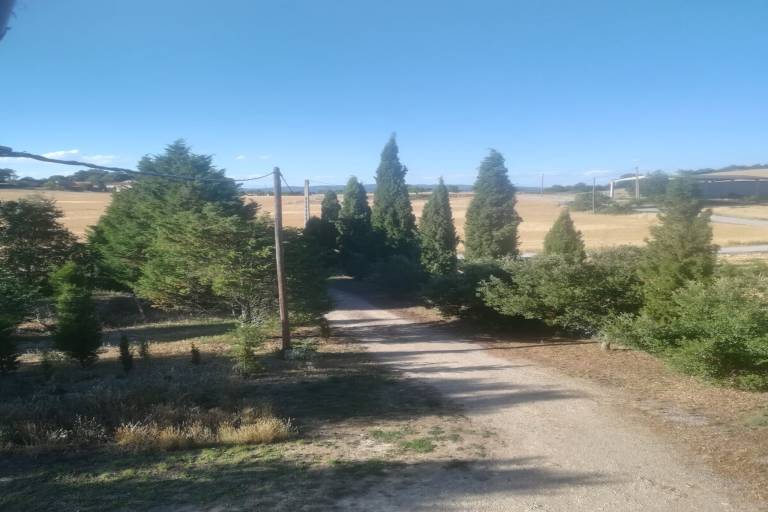 foto19
