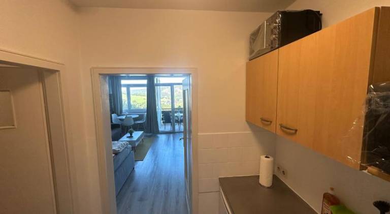 Rental apartment with 1 room for 4 persons — photo 4
