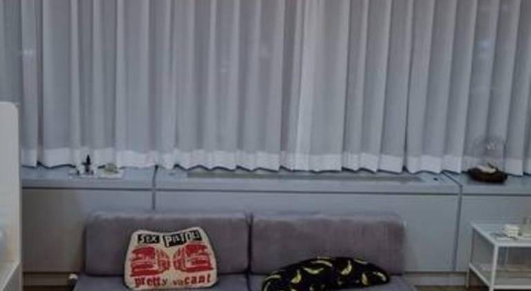 foto44