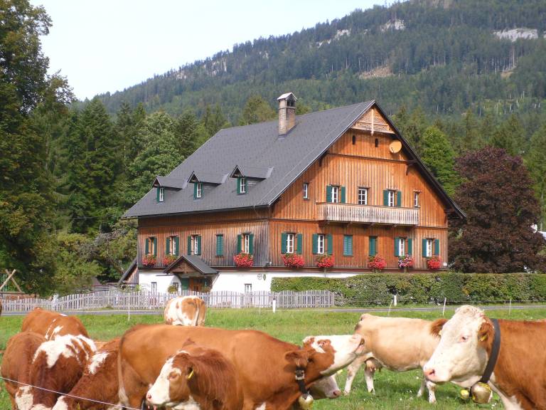foto1