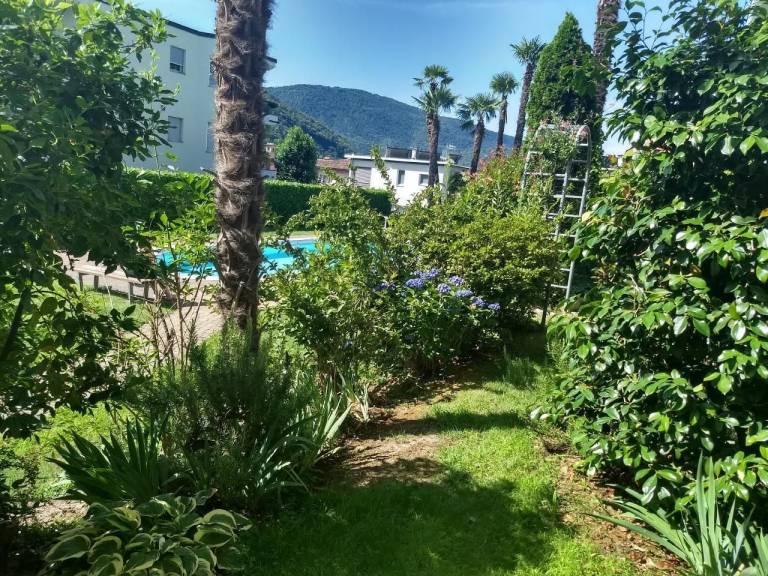 foto13