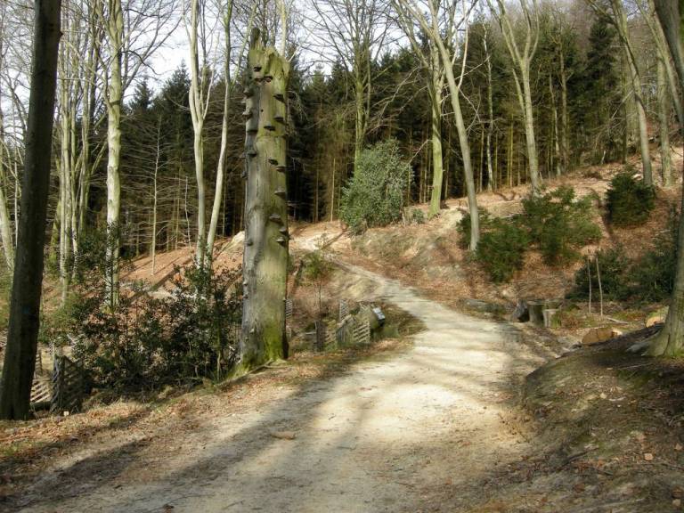foto21