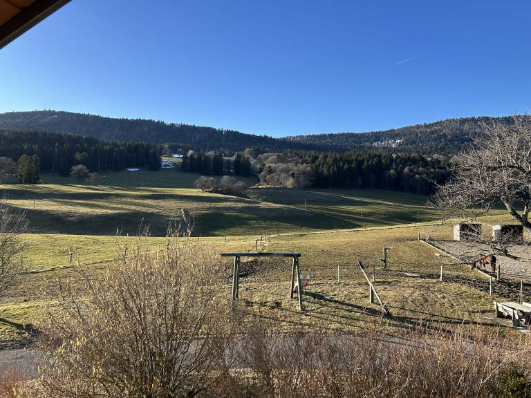 foto1