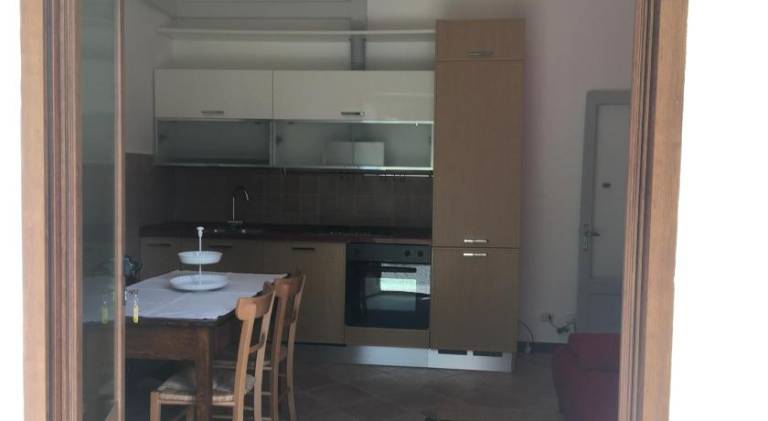 House | Dogs allowed — photo 3
