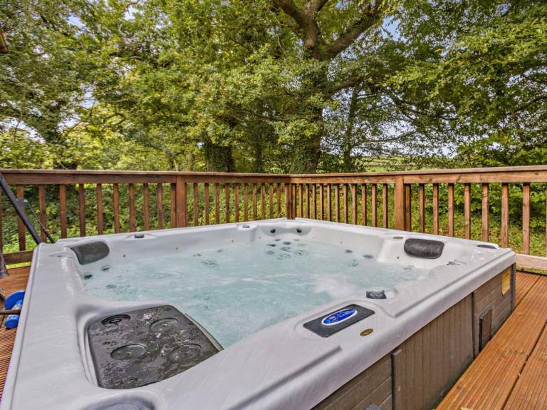 Lodge with hot tub in Okehampton