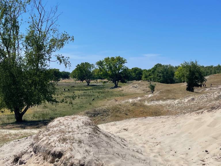 foto42
