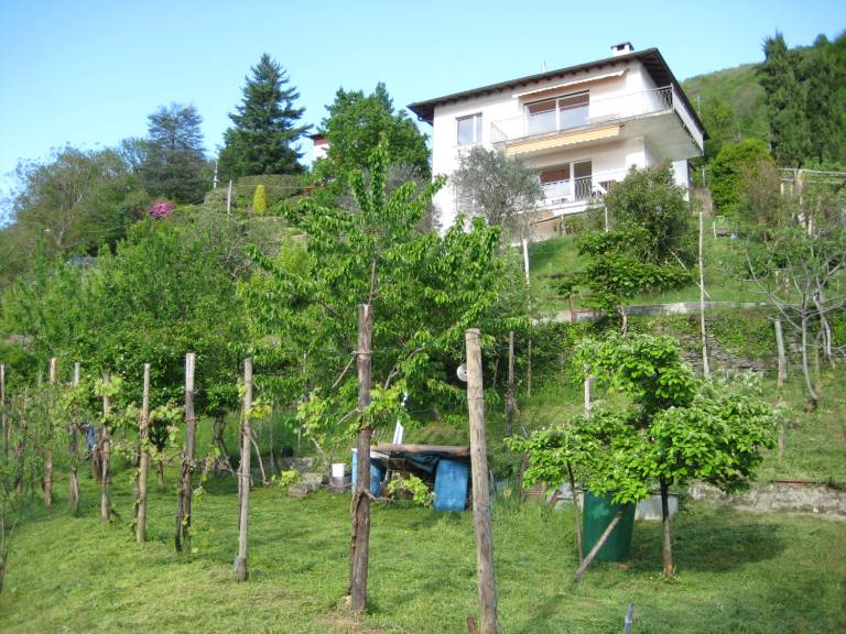 foto9