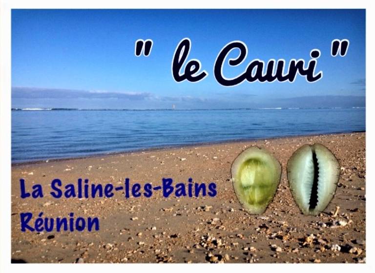 Appartement La Saline-Les-Bains