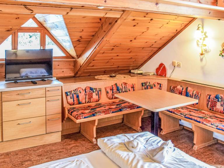 Rental apartment | Ski nearby | Pets allowed in Tamsweg