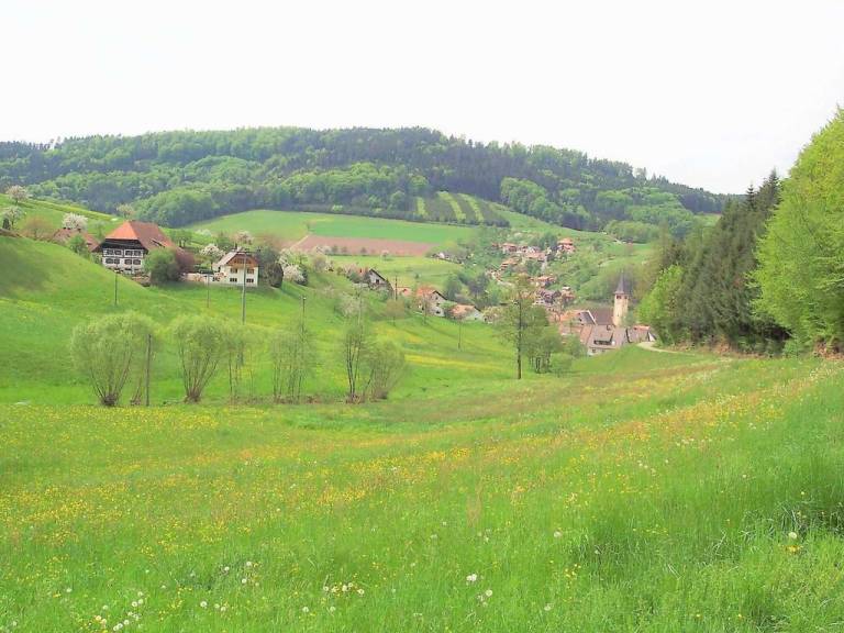 foto19