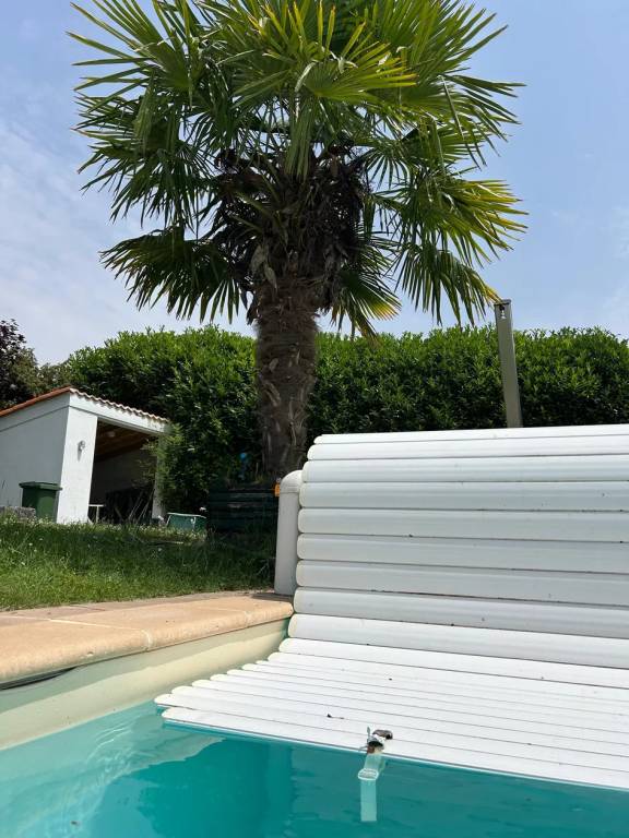 foto49
