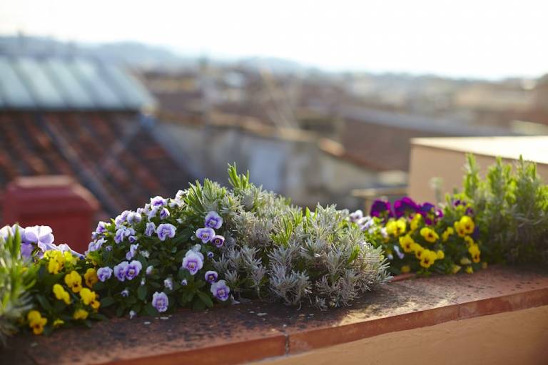 Bed & Breakfast  Firenze