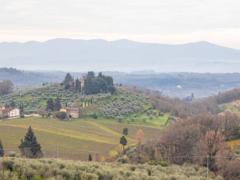 Villa Pelago
