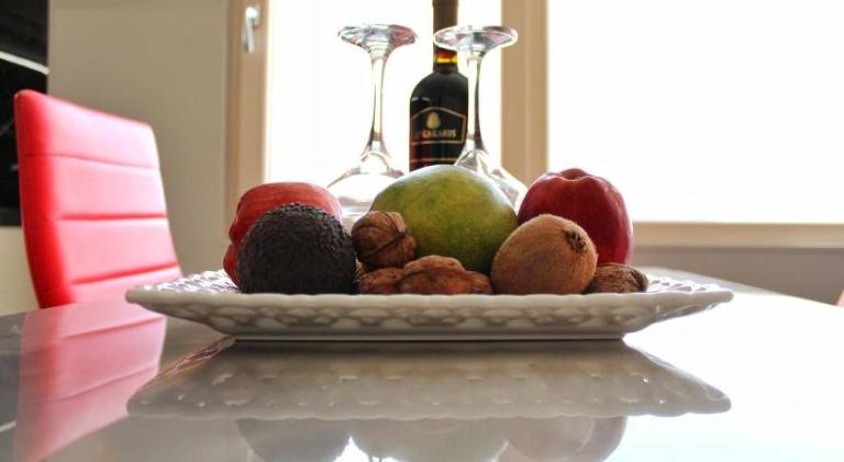 Holiday apartment with terrace | Dogs allowed — photo 4