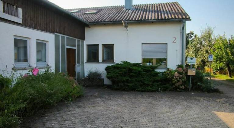 foto6