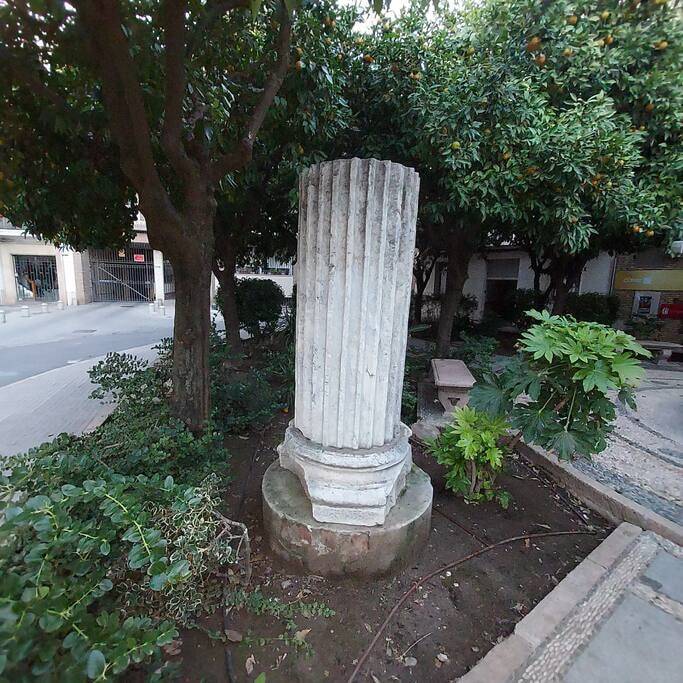 foto46