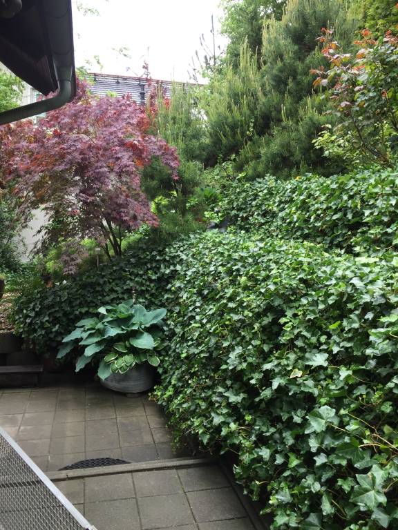foto14