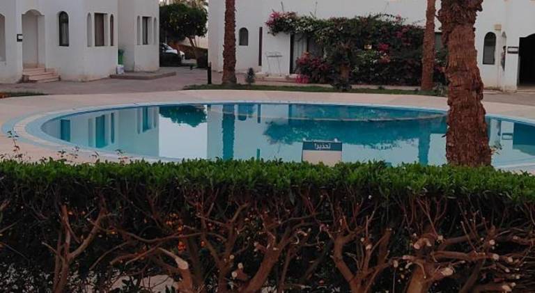 Rental apartment with pool — photo 3